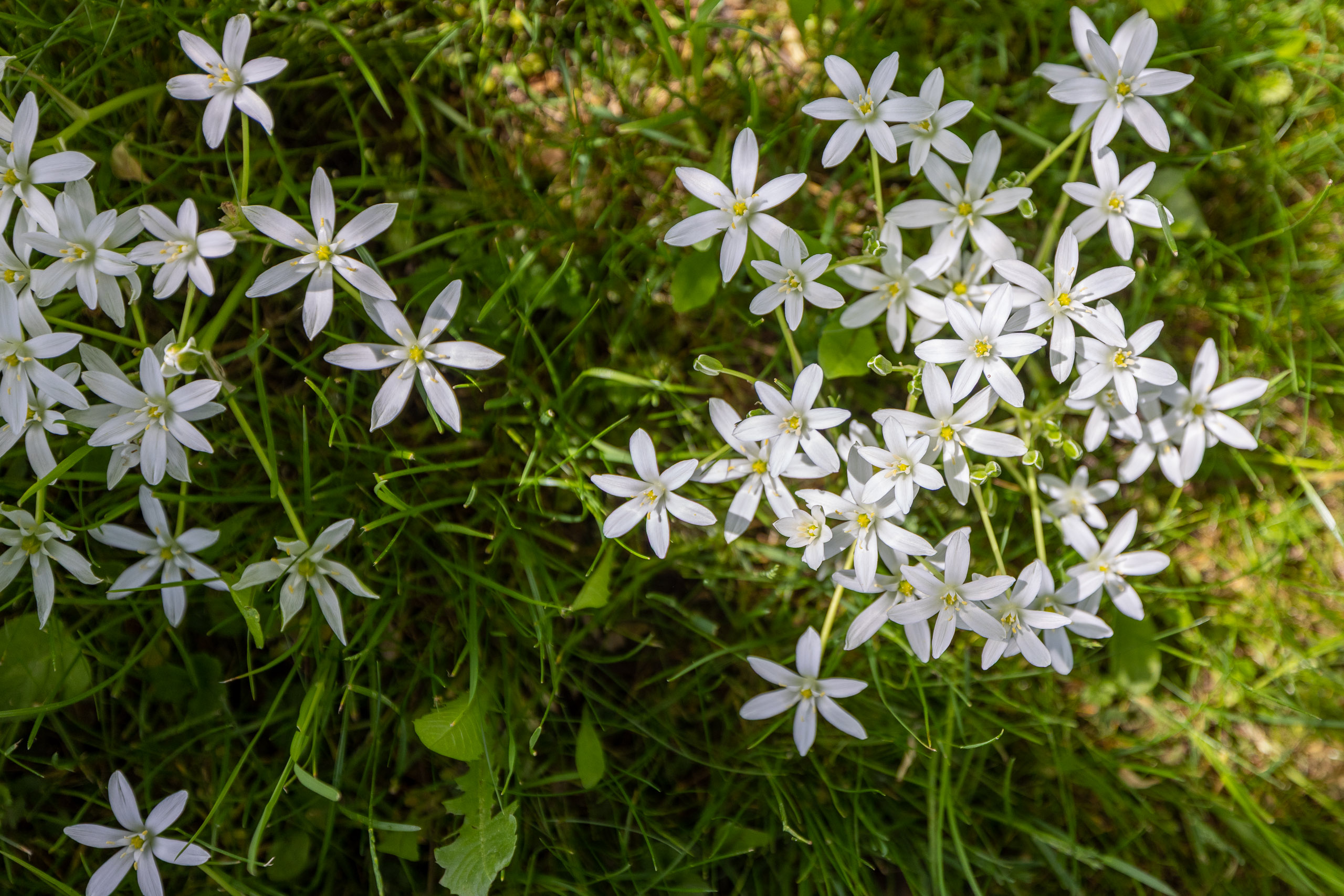 20230507143631 R5D 1038